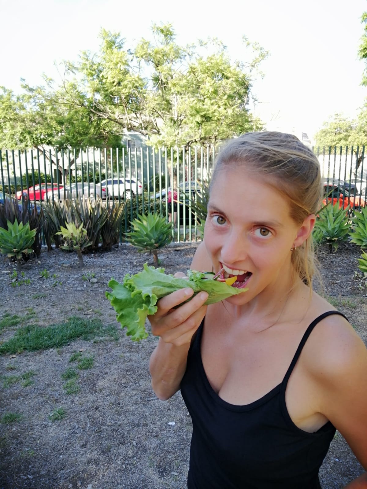 Sandra Josefski, Playboy, September 1972 Sandra Josefski photographed