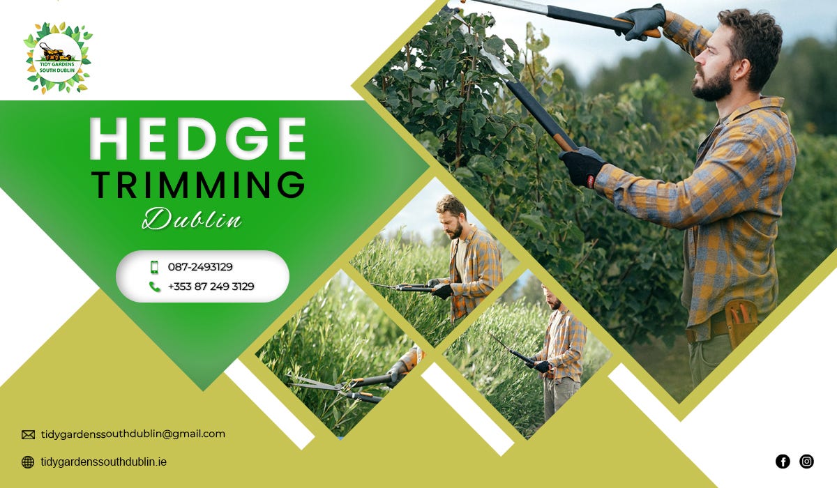 Hedge trimming why is it important? by Tidy gardens Medium