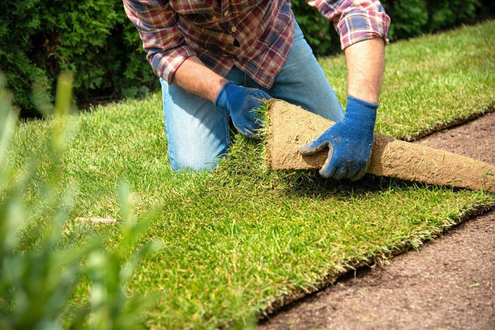 Best Lawn Cleaning in Damascus, MD A Guide to Walker’s Lawn