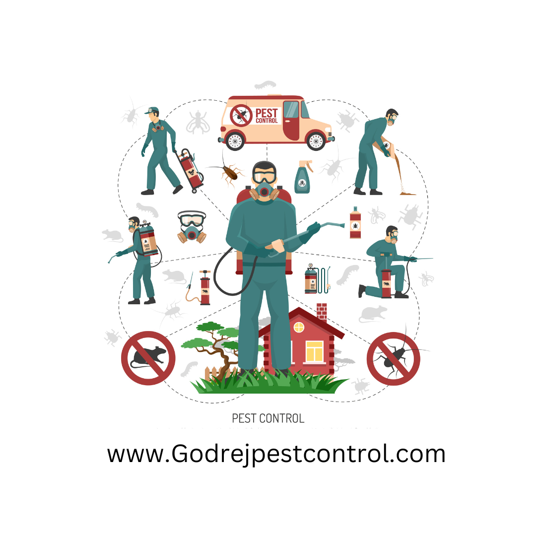 Best Pest Control in Gurgaon at Affordable Charges Godrej Pest