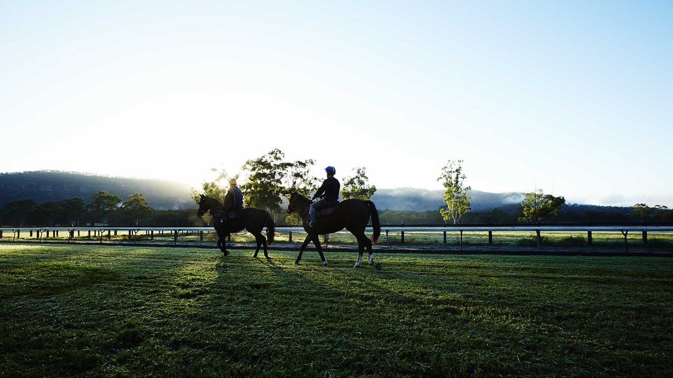 Muskoka Farm — World Class Thoroughbred Horse Training NSW by Muskoka