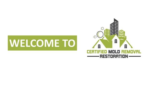 Professional Mold Remediation Service in Town Bank, NJ with Over 9,000 ...