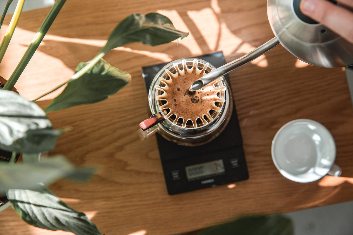 Aeropress Coffee vs Pour Over: The Ultimate Showdown