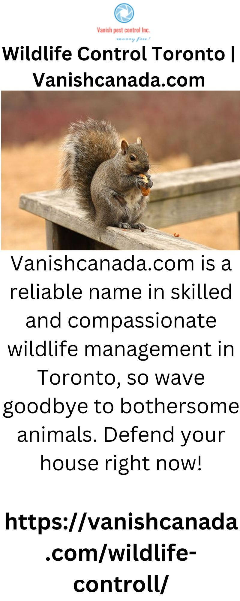 Effective Cockroach Control in Toronto Tips and Strategies by Vanish