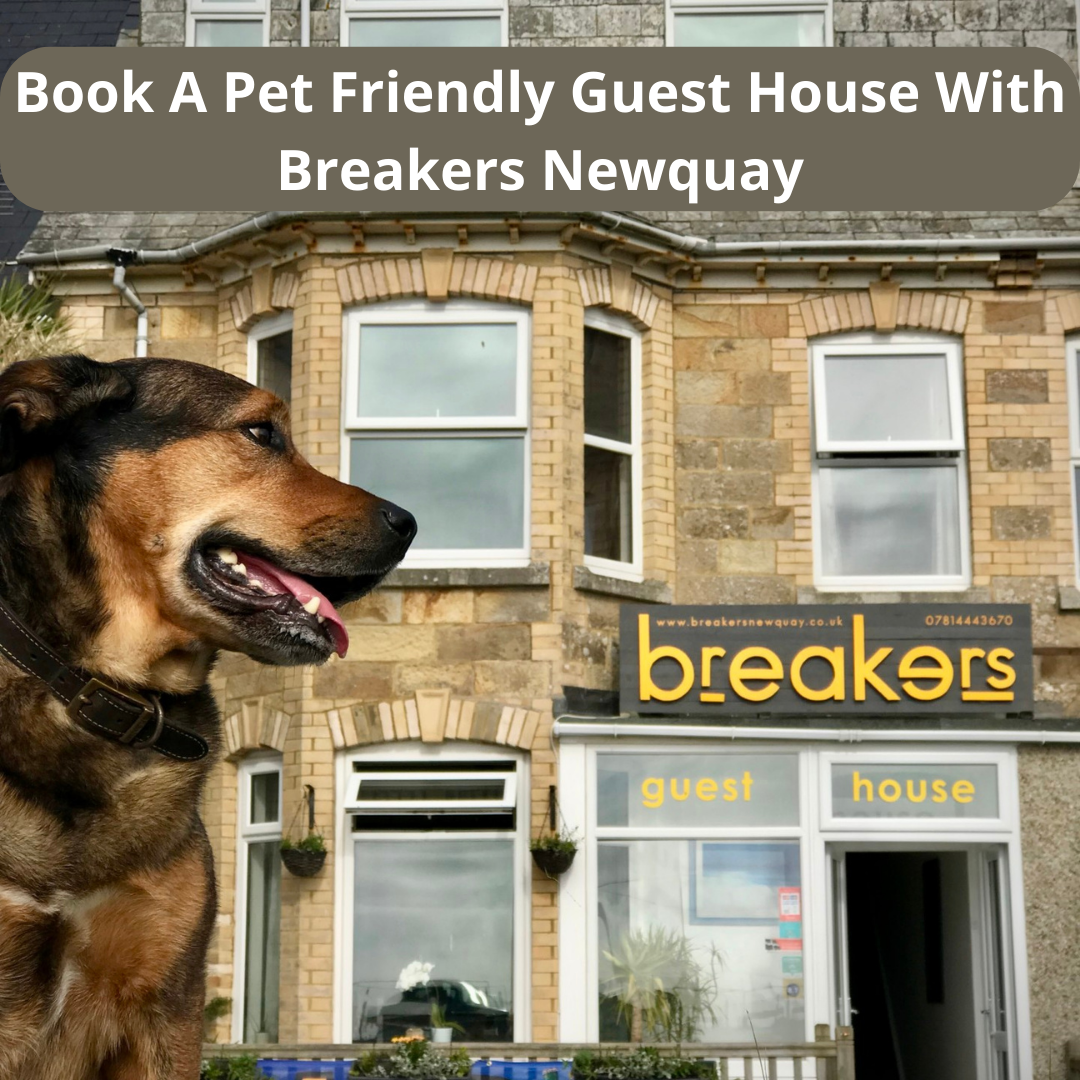 Book Breakers Newquay For Breathtaking Guest Houses in Newquay