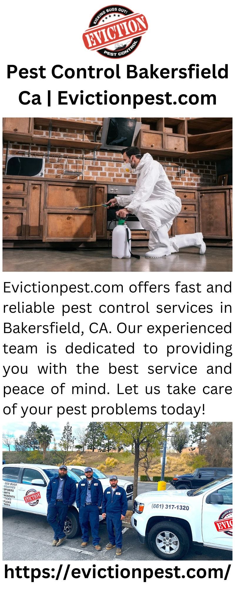 Battling Pests with Precision Best Pest Control Solutions in Bakersfield, CA Eviction Pest