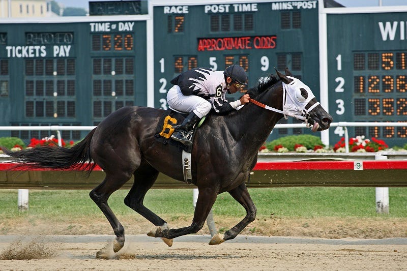 Get the most accurate free horse racing picks today derived from