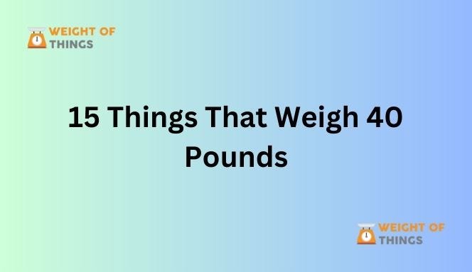 things-that-weigh-500-grams-have-you-ever-wondered-what-weighs-500