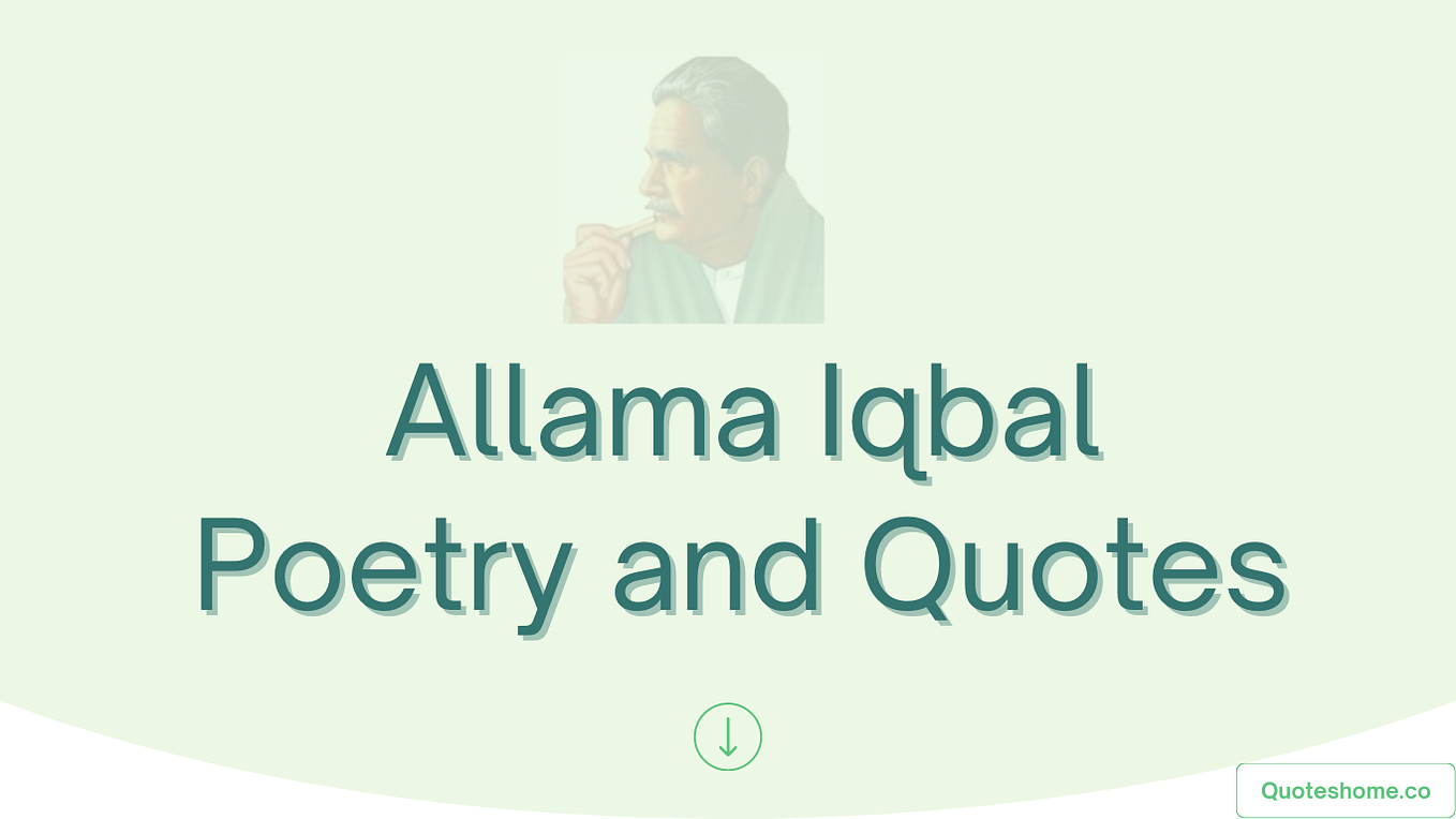Hazrat Ali R A Quotes In Urdu And Hindi Quotes Home Medium
