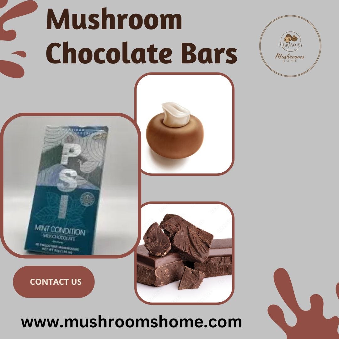 The Ultimate Guide to Making Mushroom Chocolate Bars – ChocoVivo