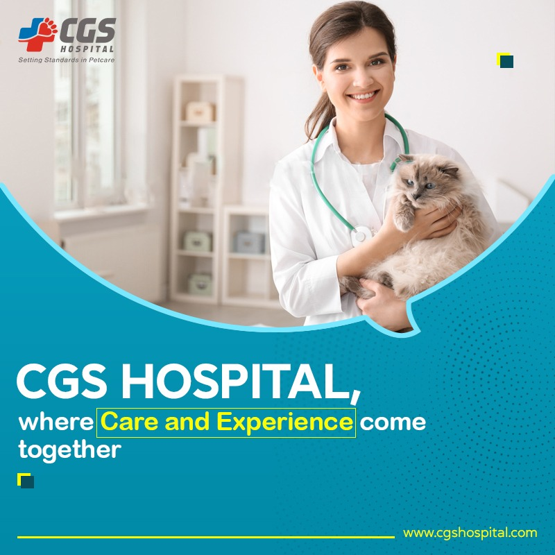 CGS Hospital. In the bustling landscape of… by cgs hospital Nov