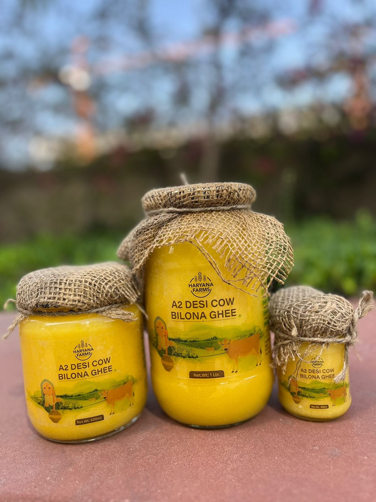 Best A2 Ghee In India Visit Haryana Farms Haryana Farms Medium best-a2-ghee-in-india-visit-haryana-farms-haryana-farms-medium