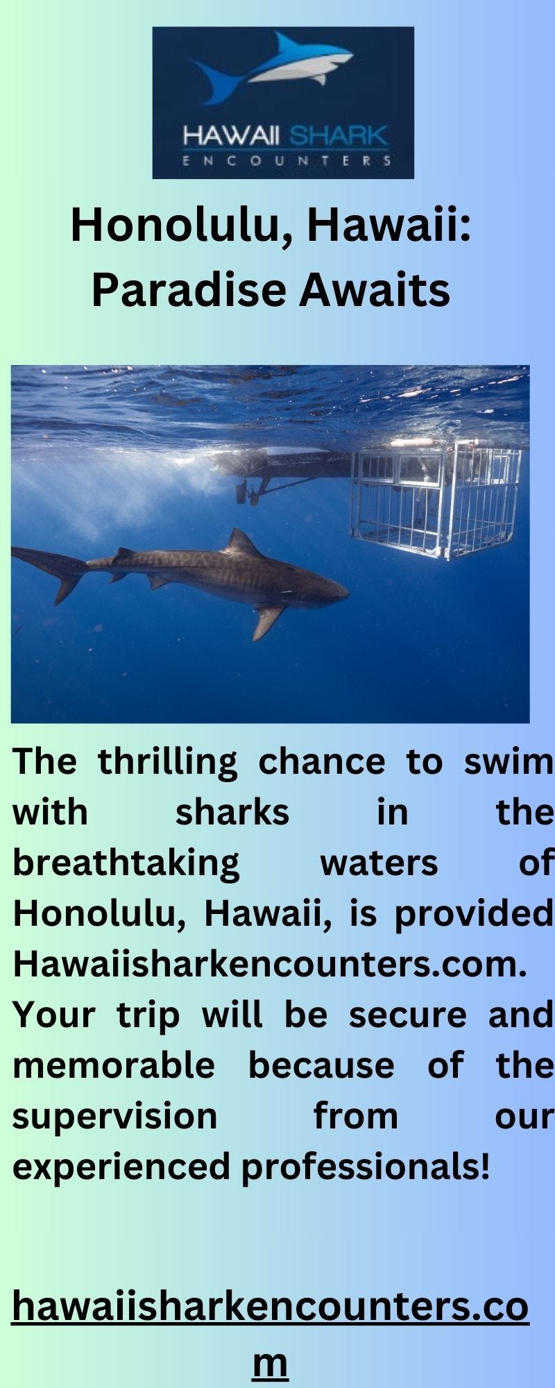 Dive into Adventure Swim with Sharks in Honolulu with Hawaii Shark
