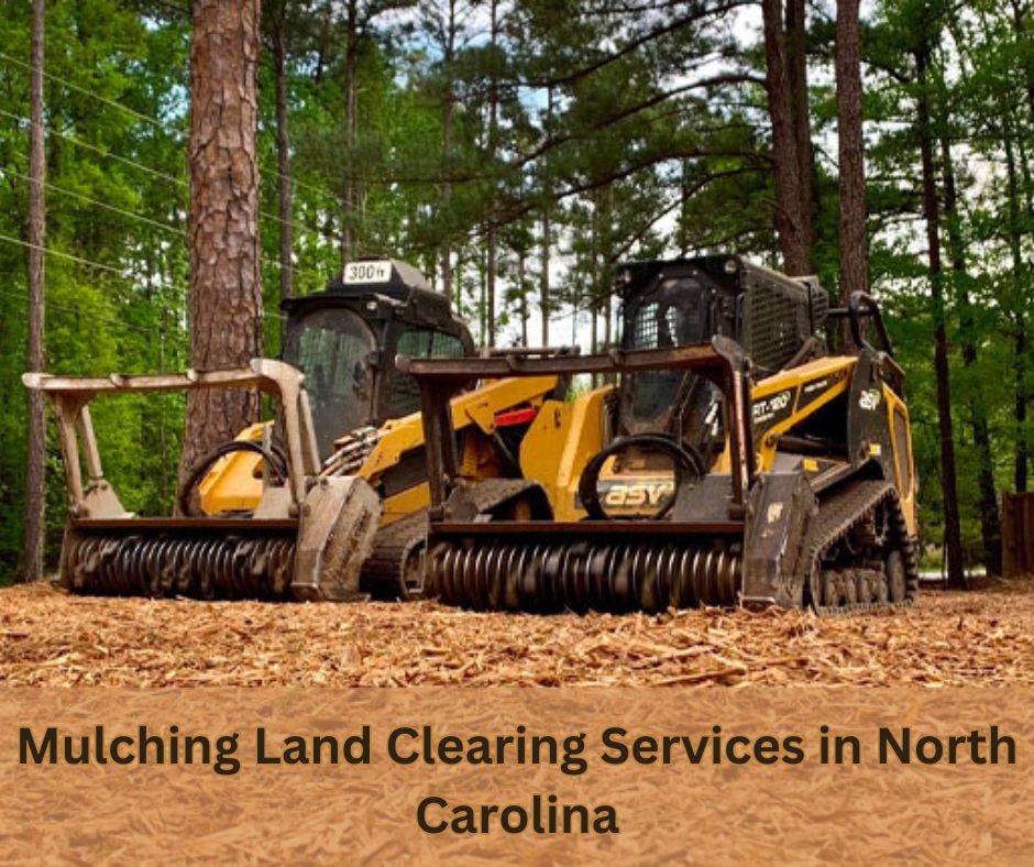 Unleashing the Potential of Your Murphy, NC Property The Benefits of Land Clearing by North