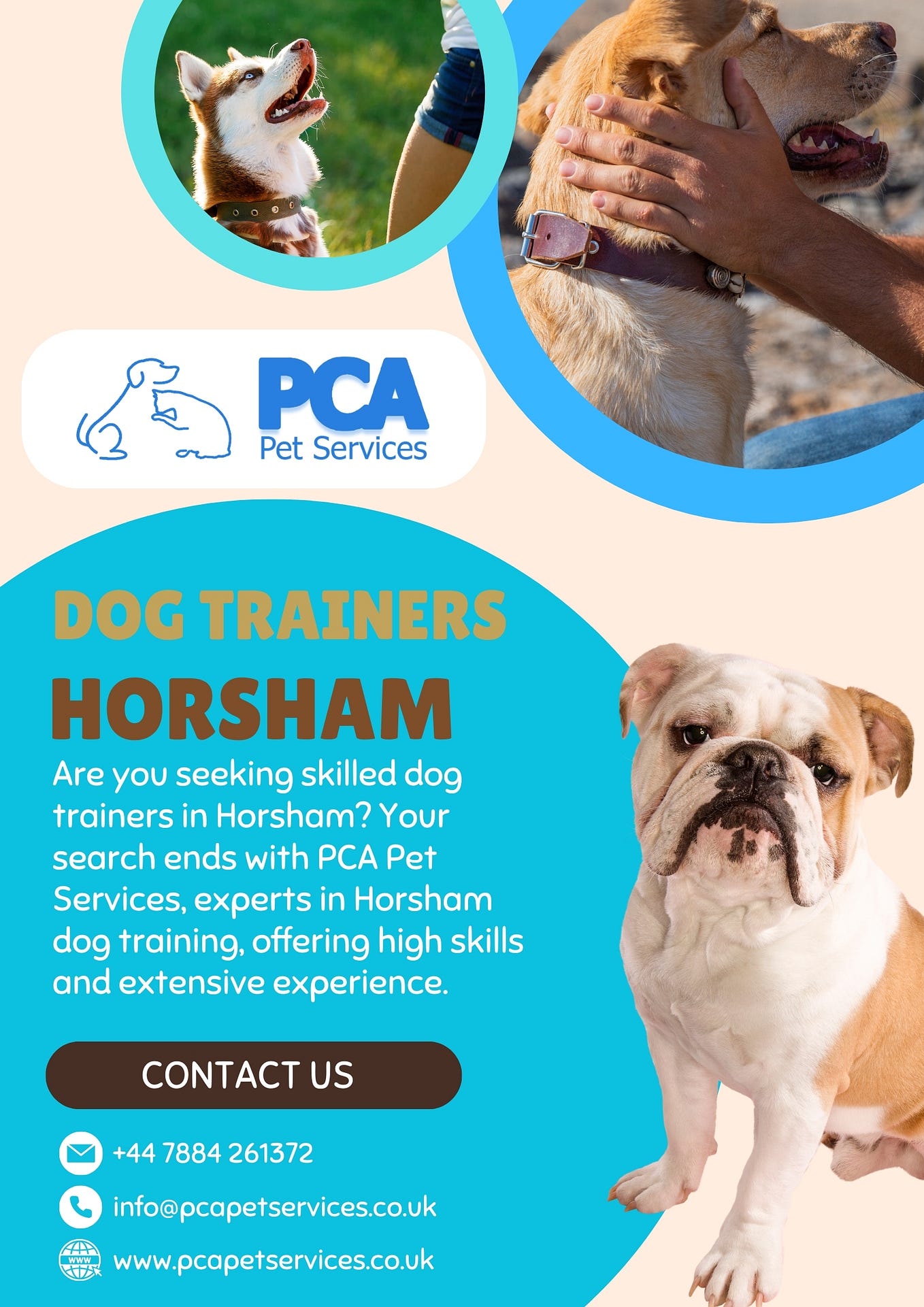 The Benefits of Pet Adoption Why Horsham Shelters Are Worth a Visit