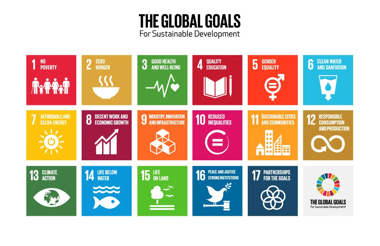 What is SDG-Washing, and How Can Your Business Avoid It?
