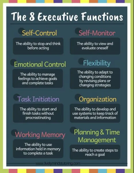 What are executive functioning skills?