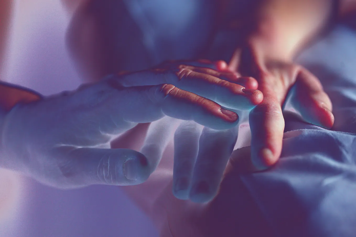 Before Purpose, There Is Life: Embodiment, Meaning, and the Ordinary Life