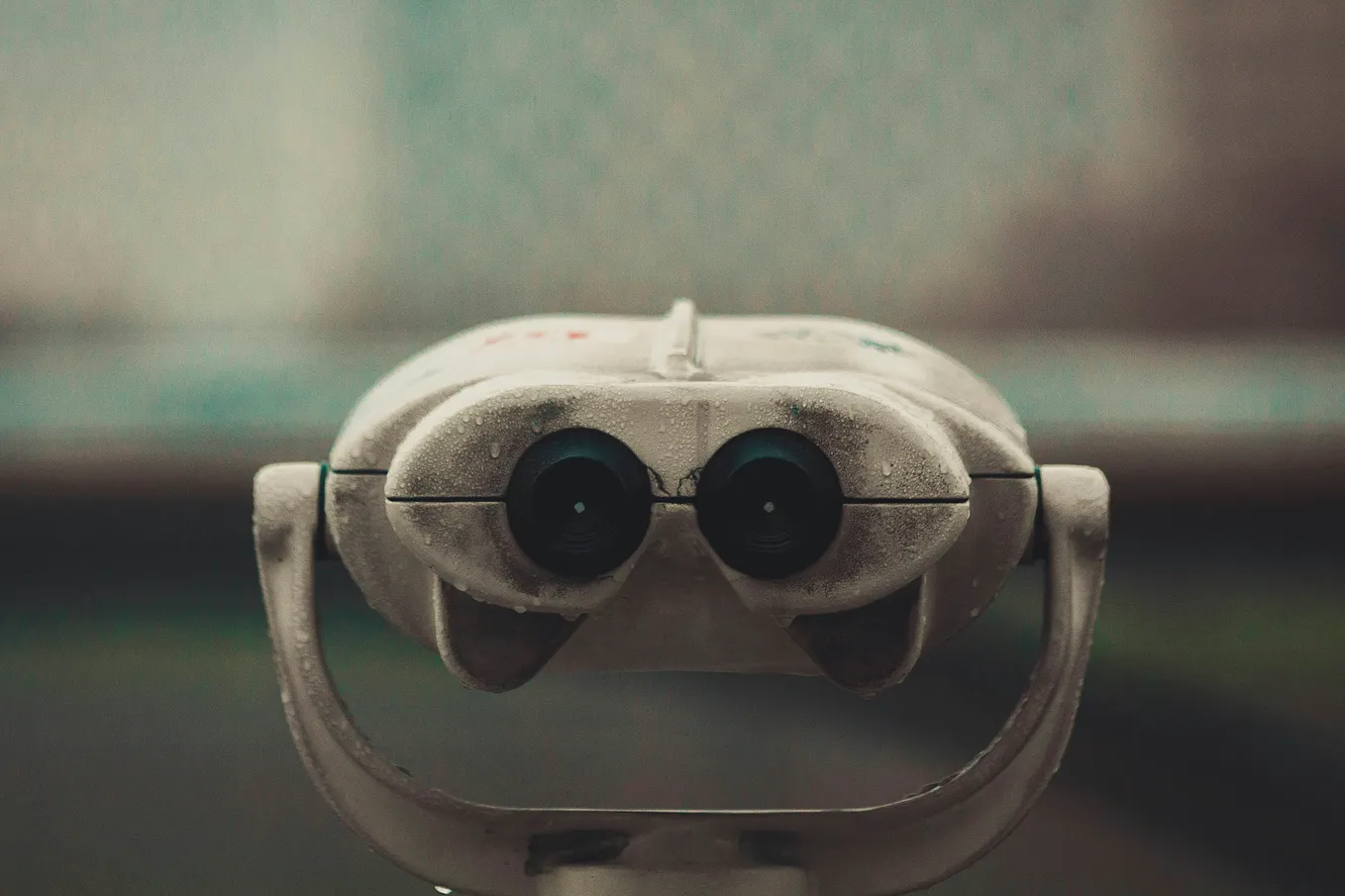 Birds of a Feather JOIN Together | Petrica Leuca | Medium