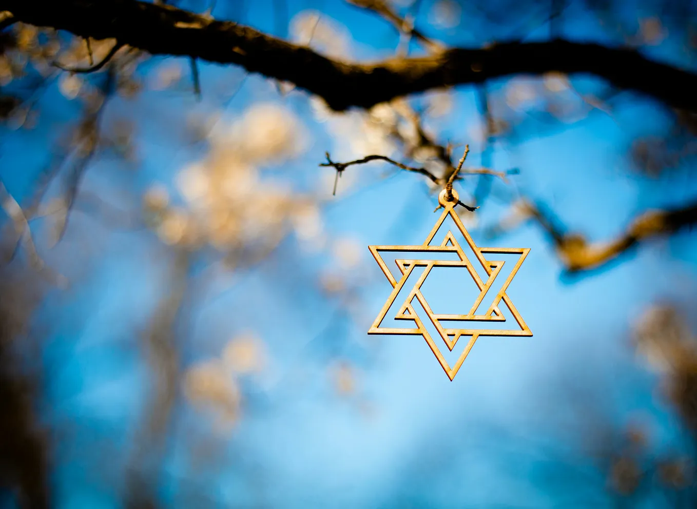 Photo of a Star of David medallion hanging from a tree.