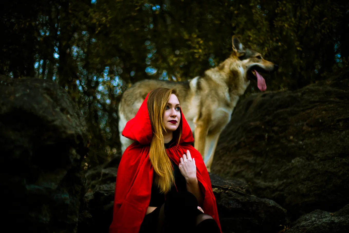 The Darker Side of “Little Red Riding Hood”