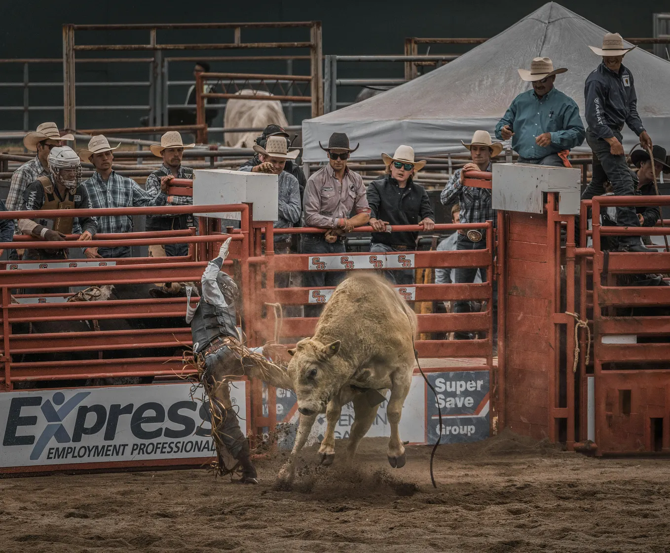 The Bullfighter Who Never Stood Again