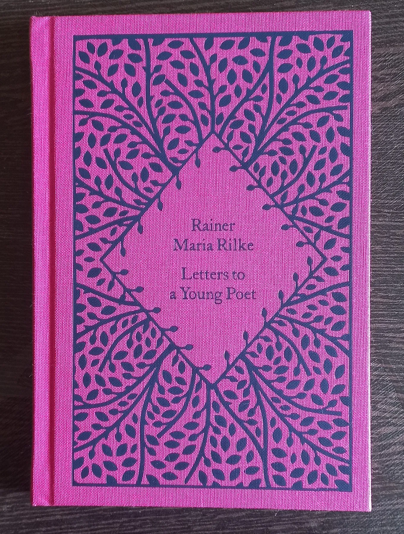 Craft Lessons : Letters to A Young Poet by Rainer Maria Rilke