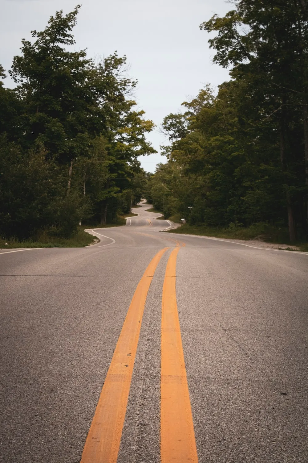 Why Anyone Can Be a Leader
