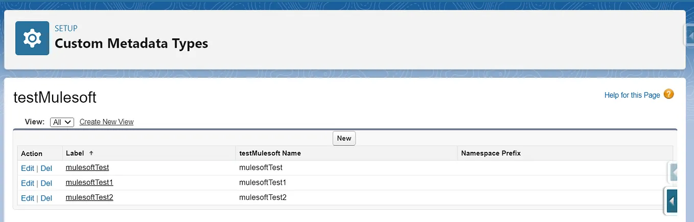 Read Custom Metadata in Salesforce using MuleSoft