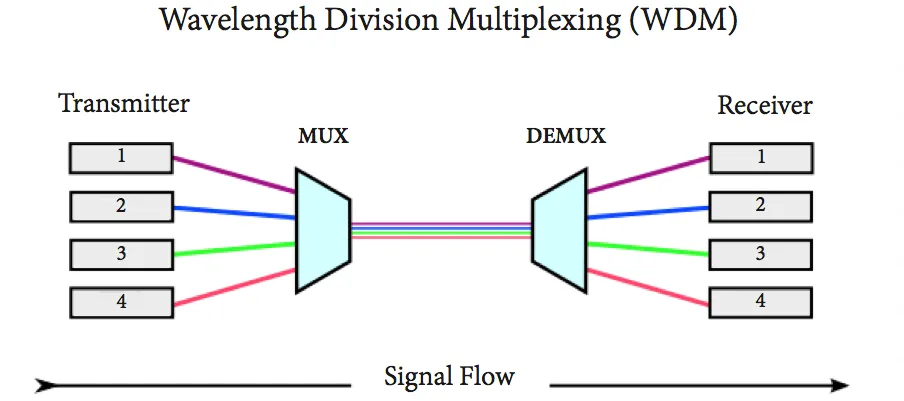 IP/WDM vs. IP/OTN: Which One to Choose?