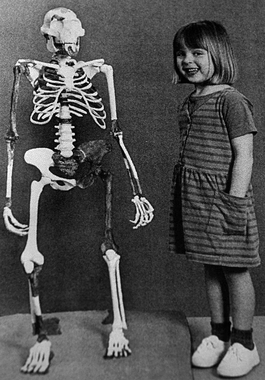 The reconstructed skeleton of Lucy, found in Hadar, Ethiopia, in 1974, and Grace Latimer, then age 4, daughter of a research team member. James St. John/Flickr, CC BY