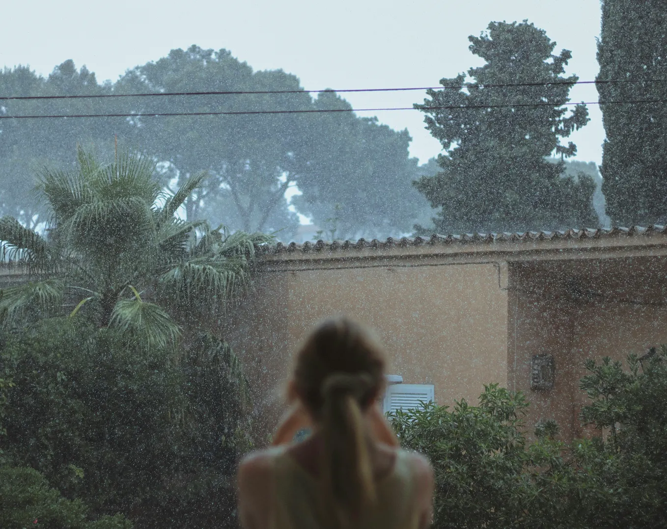 A Week of Books, Movies, Food and Rain