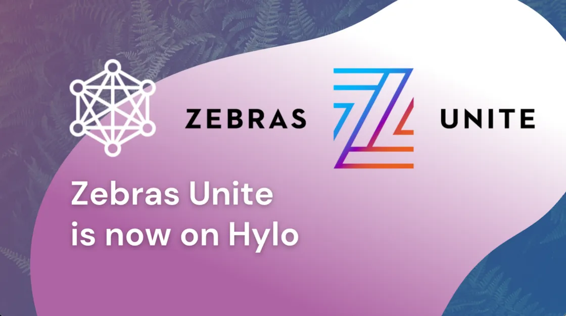 Serving Zebras Unite and the Cooperative Movement on Hylo