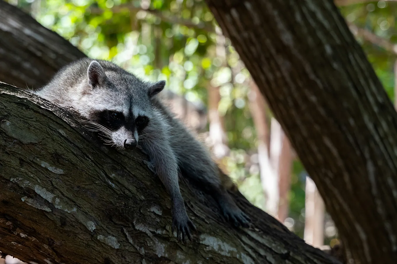 Struggling to Write? Don’t Click on This Article