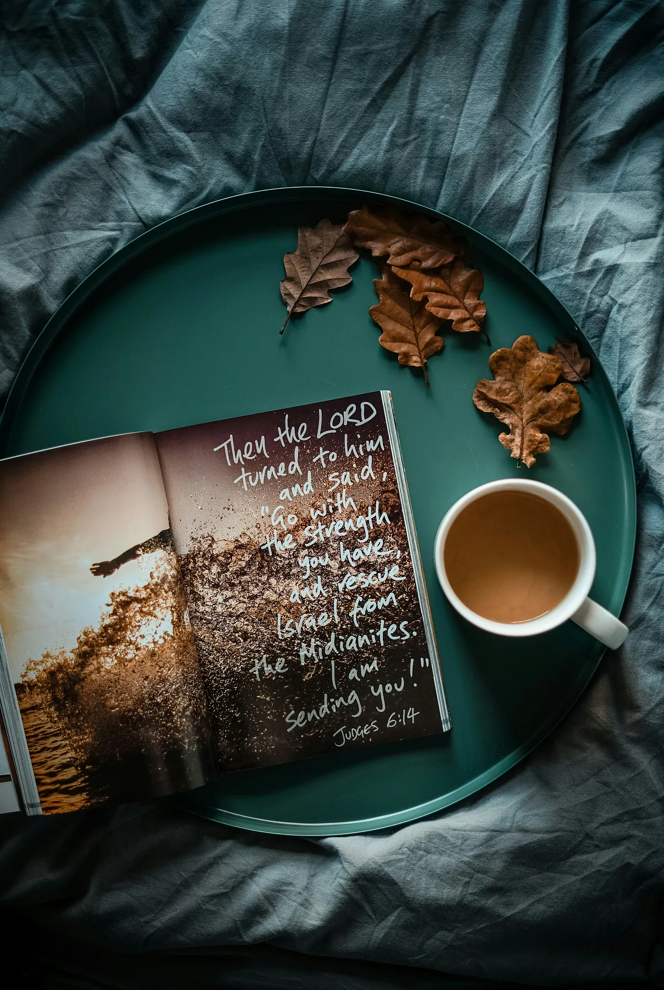 Did You Know. Read Psalms Chapter 91 | by Dixie Dodd ♡ | Medium