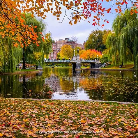 Boston in October: 5 Fun Activities You Can’t Miss https://medium.com