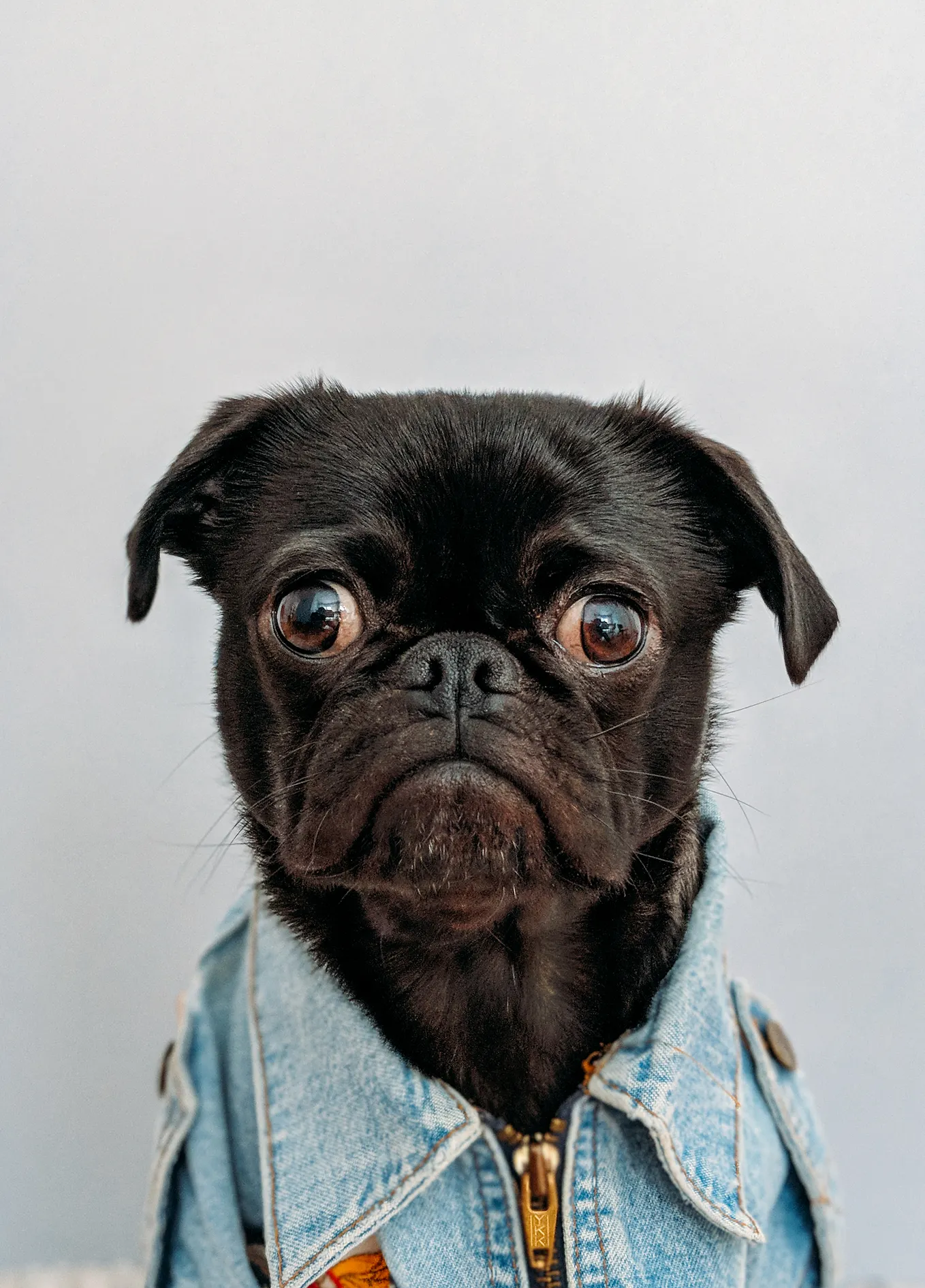 The Art of Prompting: Unleashing the Power of Canva’s AI Image Generator