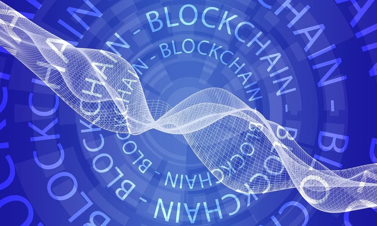 The two foremost applications of Bitnation. | by irene blessing | Medium