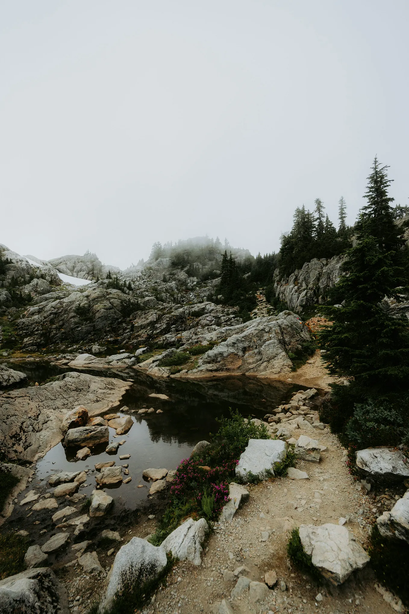 Why Practical Knowledge and Valuable Skills Matter More Than Passion