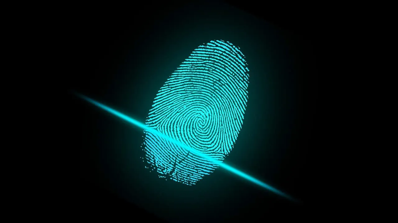 Free Bitcoin Forensics - Part 1. In the past few years, Bitcoin… | by Pagan  | Coinmonks | Medium