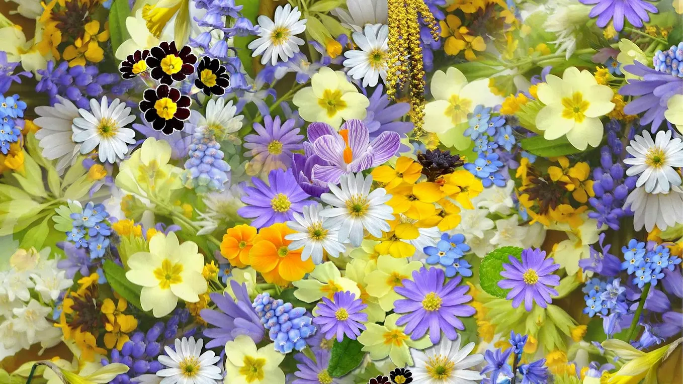 what-is-olfactory-imagery-how-to-create-aromas-in-your-mind-s-eye-by