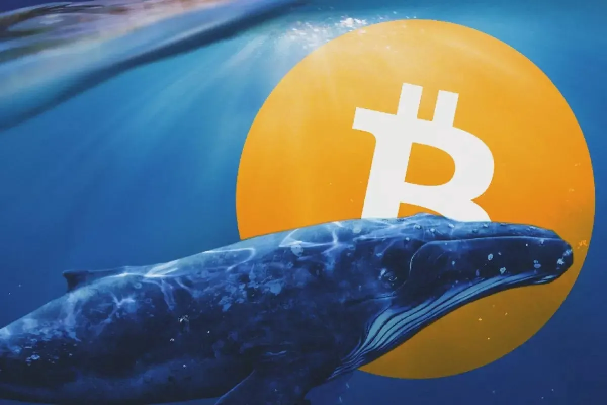 Stellar 101: bridging crypto and fiat currency | by pothu | Medium