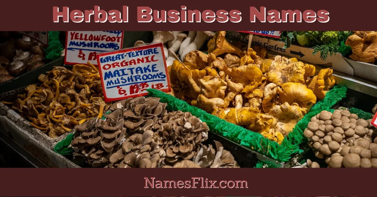 Herbal Business Name Ideas for Nature’s Entrepreneurs