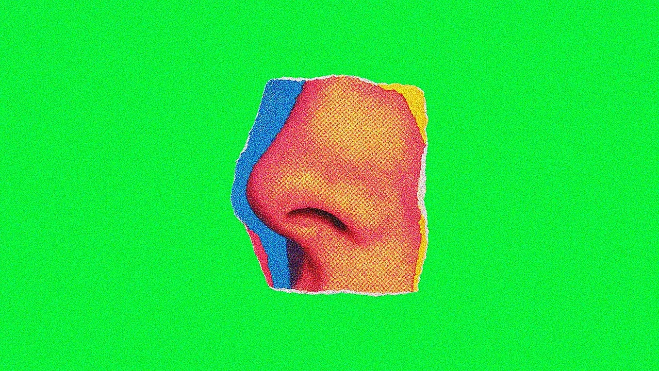 We Forgot About the Nose-Brain Axis