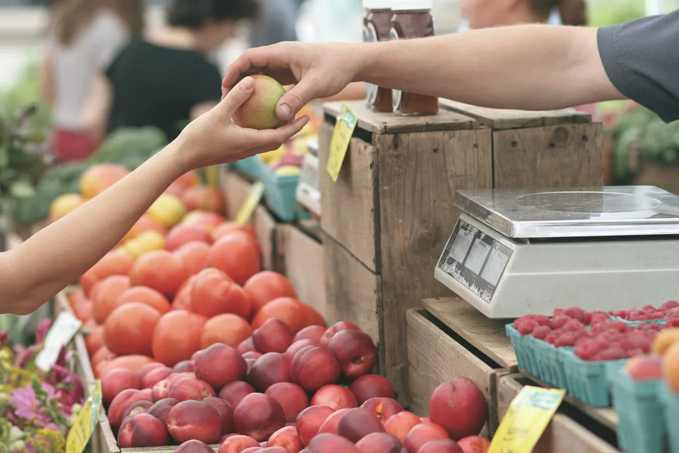 Farmers Market Name Generator