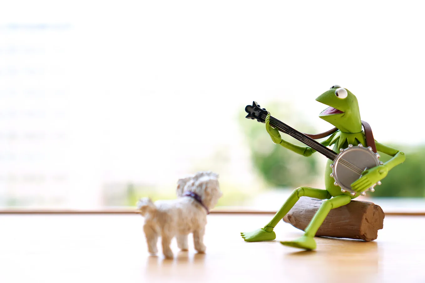 Kermit the Frog figure with banjo sitting on a log and a little white dog standing in front of him.