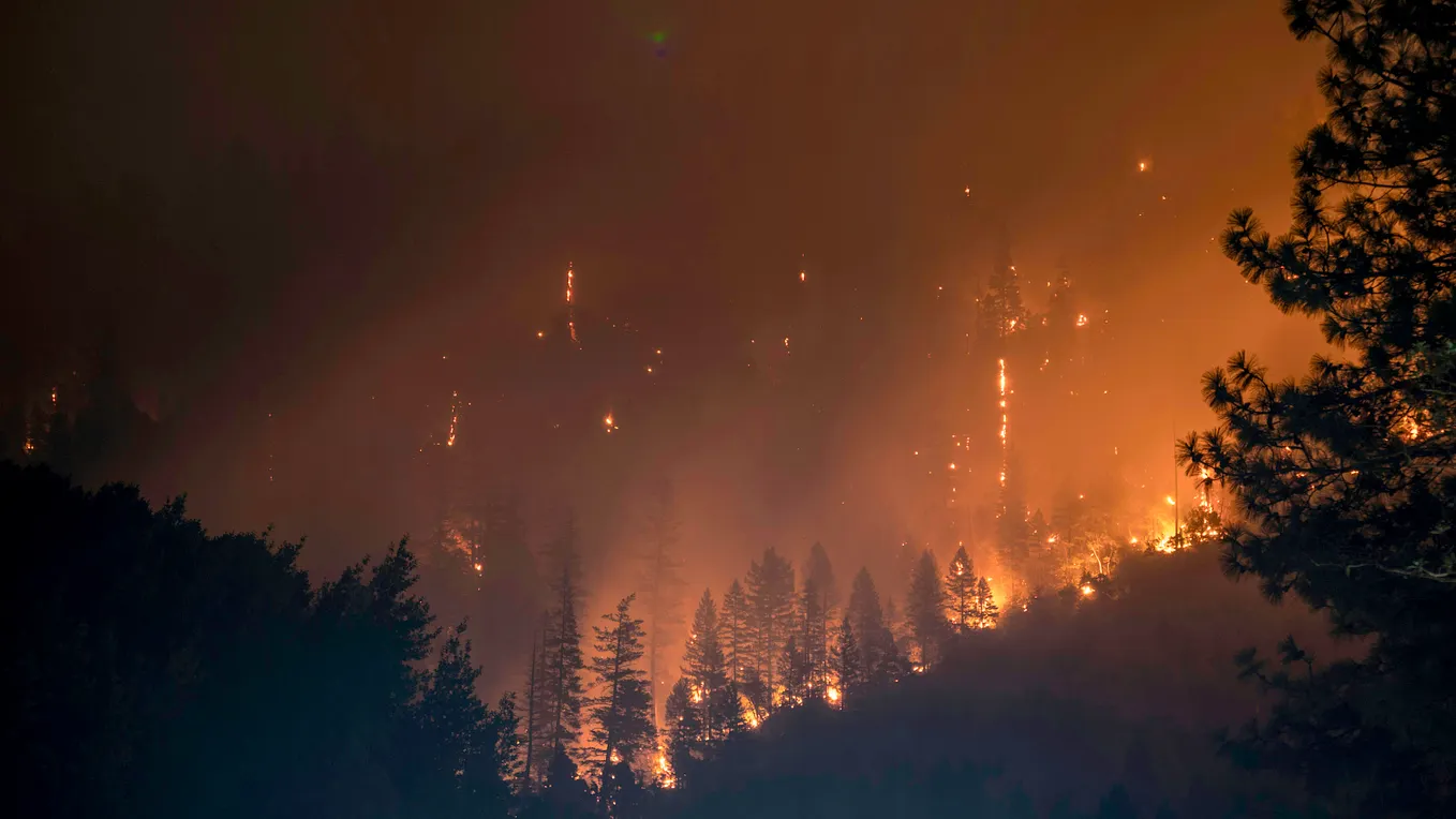 More Wildfires: Patagonia is Burning. Again