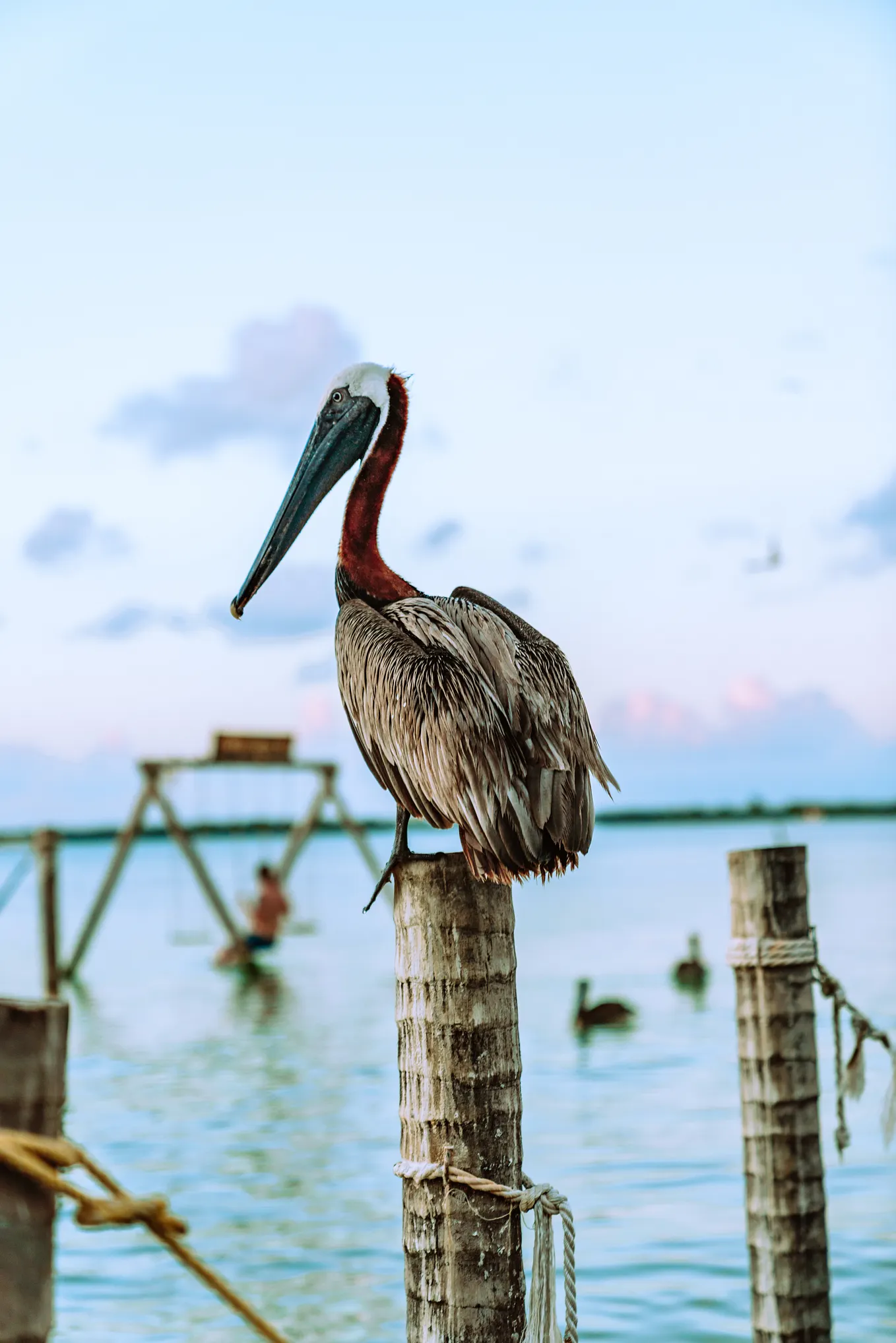 12 Questions That Will Help You to Count Your Blessings
