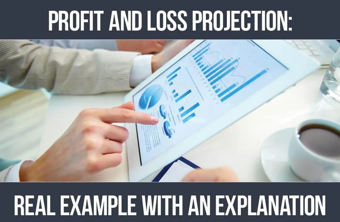 Profit and Loss Projection: Real Example with an Explanation