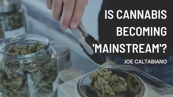Is Cannabis Becoming ‘Mainstream’? | Joe Caltabiano | Entrepreneurship